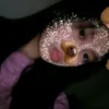 _kviirz