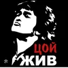 limonhik121