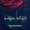 mohamedalqafas1