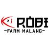 ikan_koi_malang