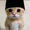 leon_32121