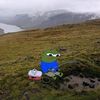 kudaterlepass
