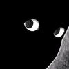 randomcontent00535