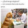 mariluzflores34
