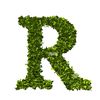 romeo012344