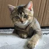 www.com.tiktok_000