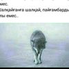 maulen.a