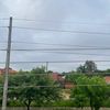 feruziedan09