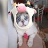 meow.midsy