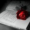 user269130904