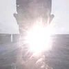 darwinsinaga1_4