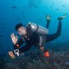 Roy | Scuba Diving Nusa Penida