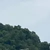 pupupu2525.54