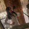 rosacortes121