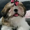 lizzy_e_mia