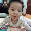 Tôm Sú
