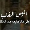 mostafa_alzaben