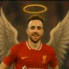 CALMA.LV