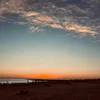 _sofisilvero