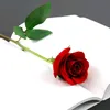 am.rg1