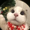 _kly10_