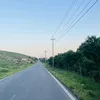 daniarsilverdwdw