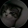 veymar.__