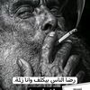 user1997455383361