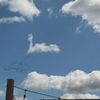 writingsinthesky