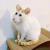 babiwoku