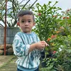 trang.huynh040983