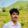 shafi_roe