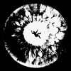 fesvi7