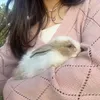 noe_12205