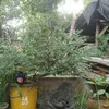 user460666291461