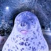 _ivinett22