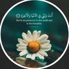 remasmasalmah201