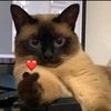 karlsup2