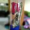 perincess188