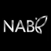 nabi.cdt.samara