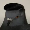 nexlik_