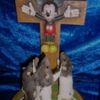 hailmickymouse