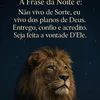 adelardo49