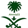 ahmvip22