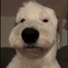 briangriffin69
