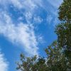 sky_0180