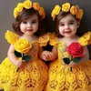 user03973561