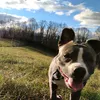 gomiwatsonkay