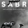obsa.ab199