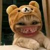 bayucaturwijayy